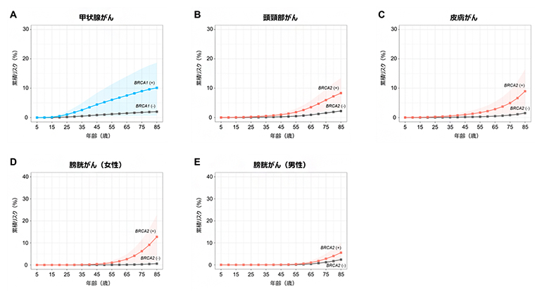 BRCA1/2遺伝子の病的バリアントとの関連を認めた4種のがんの累積リスクの図
