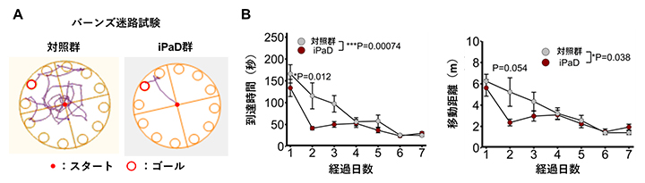 iPaDによる認知機能の改善の図