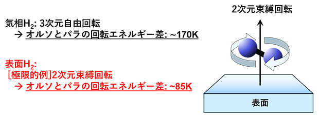 2次元的に制限された吸着水素分子の回転運動の模式図の画像