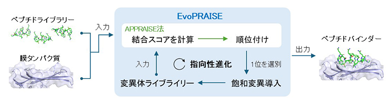 EvoPRAISEのワークフローの図