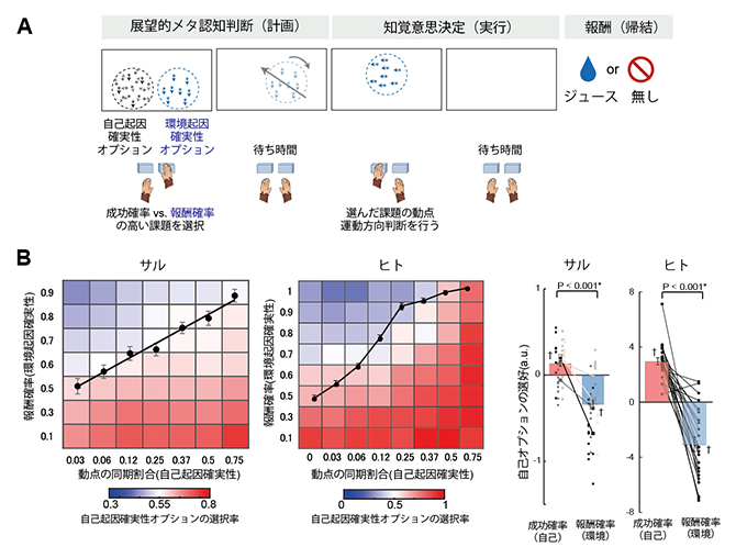 ヒトとサルが同じように解くことができる「展望的メタ認知課題」の図