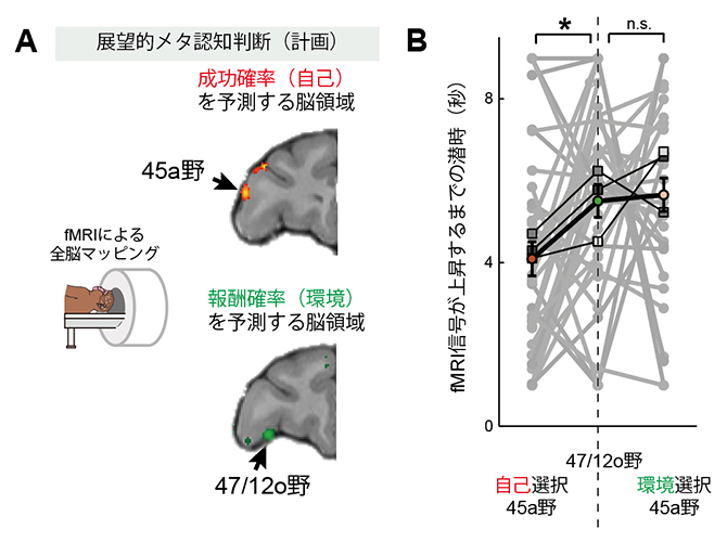 サルの45a野と47/12o野の、自己と環境に起因する未来を予測する相補的な働きの図