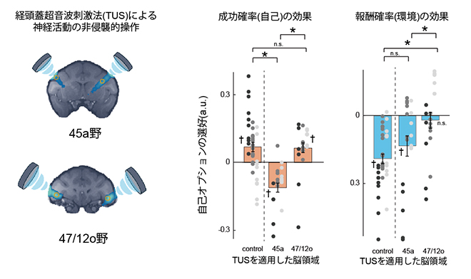 経頭蓋超音波刺激法（TUS）による神経活動の阻害と未来予測能力への影響の図