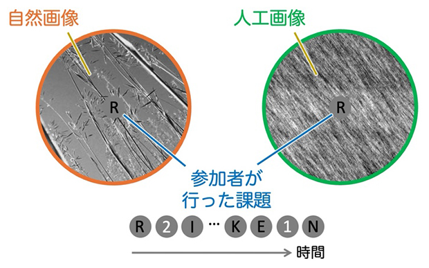行動実験の課題と背景画像の図