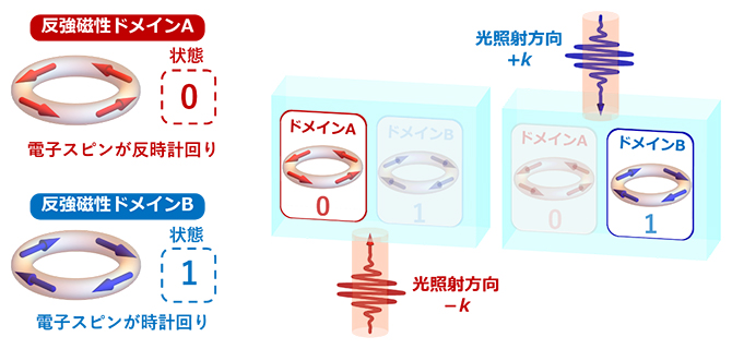 反強磁性体LiNiPO4の2種のドメインと光入射の反転による磁気状態の制御の図