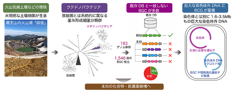 研究概要図