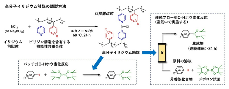高分子イリジウム触媒の調製、バッチおよび連続フロー型C-Hホウ素化反応への応用の図