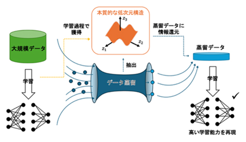 データ蒸留と低次元構造の抽出メカニズムの図