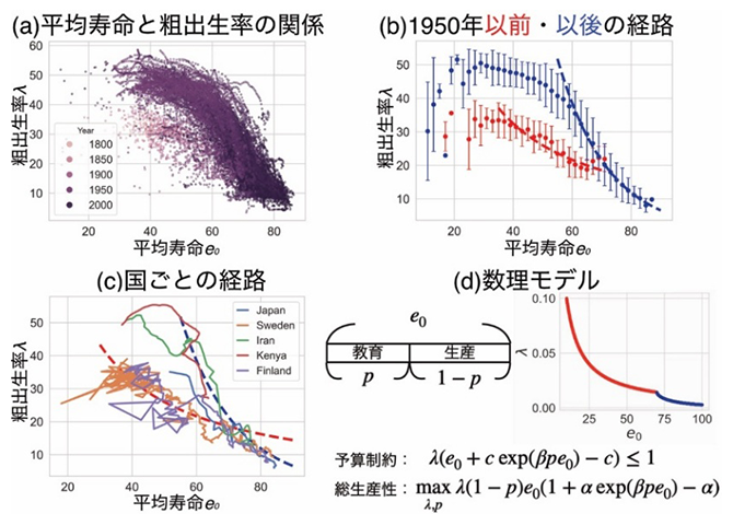 人口転換の二つの普遍的経路の図