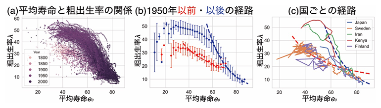 人口転換の二つの普遍的経路の図