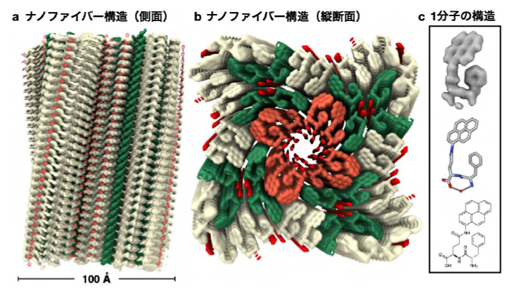 クライオ電子顕微鏡で見たFQ(Pyr)ゲルのファイバー構造の図