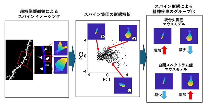 本研究の概要図