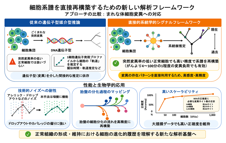 1細胞RNA配列データから正常組織の細胞系譜と細胞多様性を再構築する新手法を開発の図