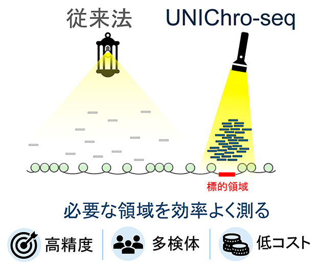 標的ゲノム領域のクロマチンの開き具合を効率的に測るUNIChro-seqの図