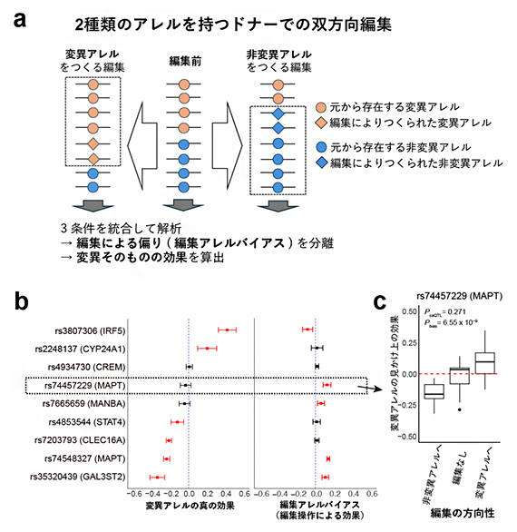 双方向のゲノム編集により、変異そのものの真の効果と編集操作による偏りを分離の図
