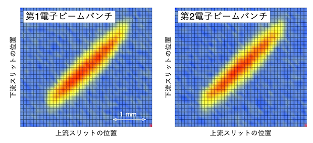 SACLA電子銃で発生した二つの電子ビームバンチの位相空間分布の図
