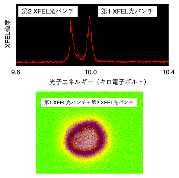 SACLAで発生したマルチバンチXFEL光の図