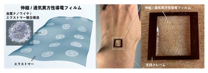 伸縮／通気ACFの構造と皮膚に貼り付けた様子の図