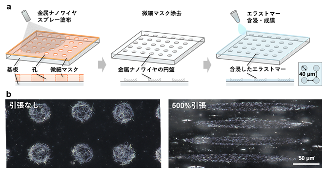伸縮／通気ACFの作製プロセスと引張時の構造変化の図
