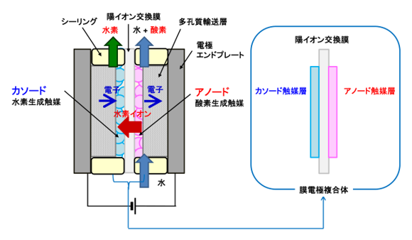 水電解セルの構成および動作とその中に組み込まれる膜電極複合体の模式図の画像