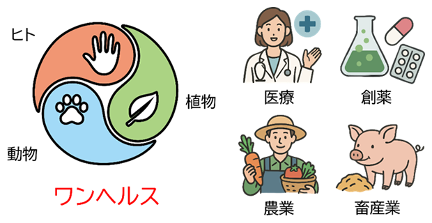 全自動デジタルバイオ分析装置が切り開く未来のバイオ分析（ワンヘルス）の図