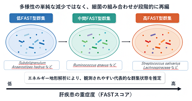 本研究で特定した細菌叢シフトの概要図