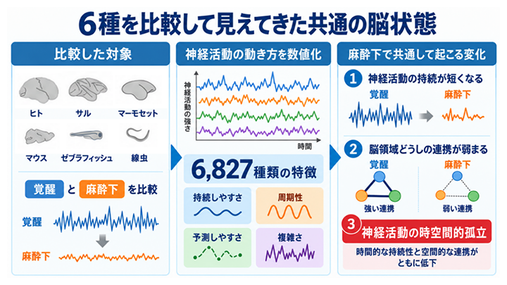6種・複数の麻酔条件を共通の時系列特徴で比較の図