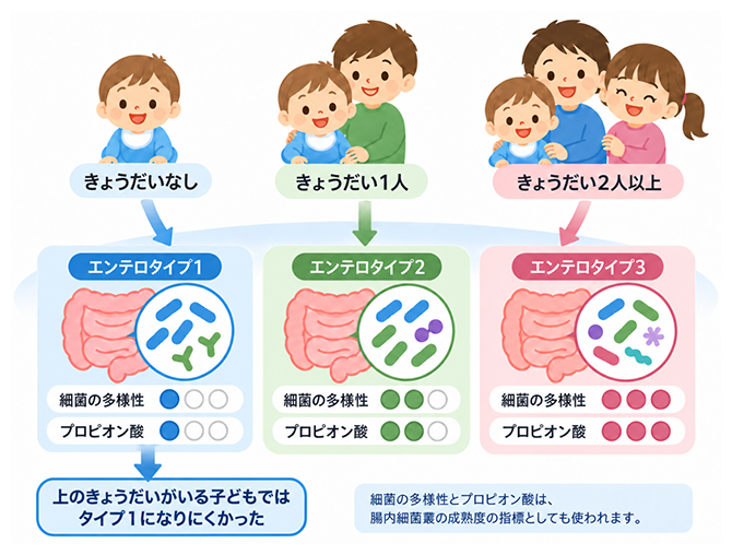 年上のきょうだいと幼児の腸内環境との関連の図