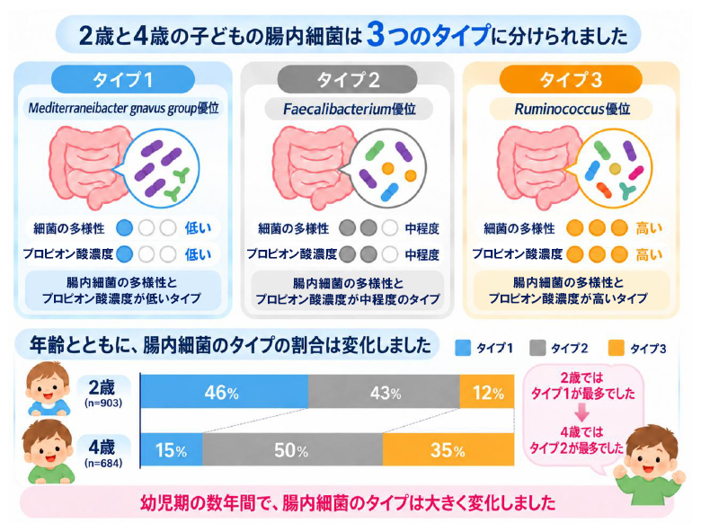 幼児の腸内細菌叢の3タイプと年齢による違いの図