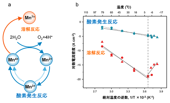 酸素発生と触媒の溶解反応の温度依存性の図