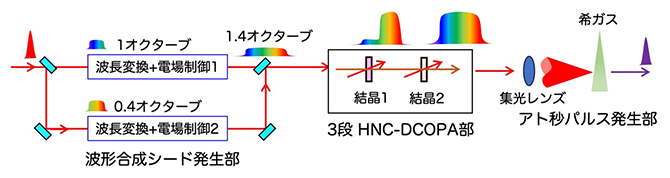 実験装置の全体像の図