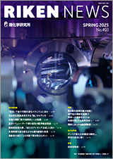 理研ニュースSPRING 2025