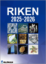 理研案内パンフレットの画像