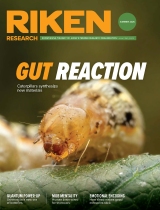 RIKEN Research Summer 2025