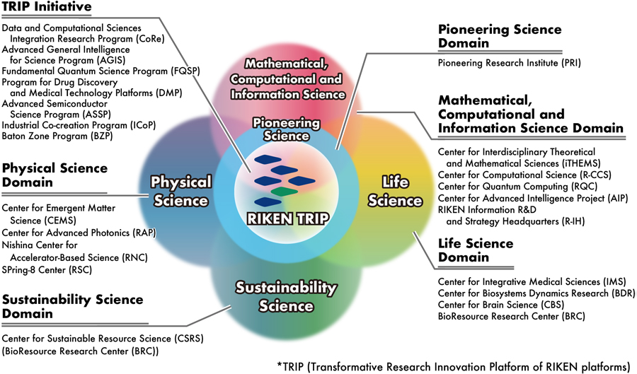 image of RIKEN's research structure