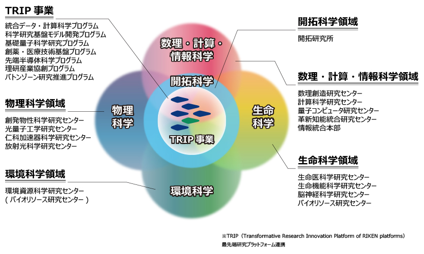第5期中長期計画の体制図