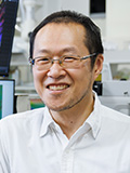 Fumito  Araoka(Ph.D.)
