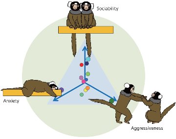 Schematic showing behaviors of monkeys