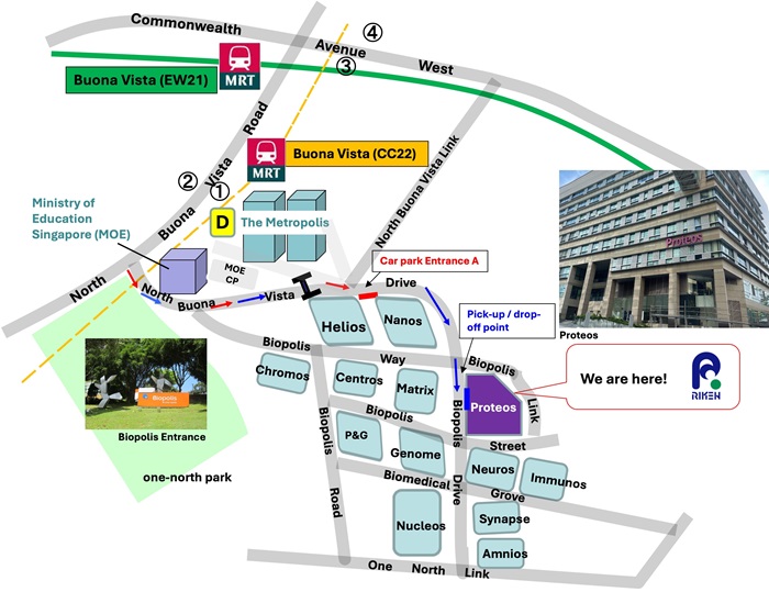 map indicating the location of RIKEN Singapore Representatice Office