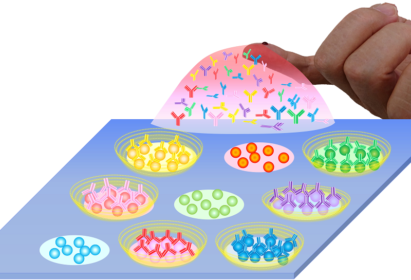 Schematic of newly developed diagnostic system Schematic of newly developed diagnostic system