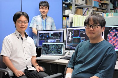 image of Kawakami, Yonekura and Hamaguchi