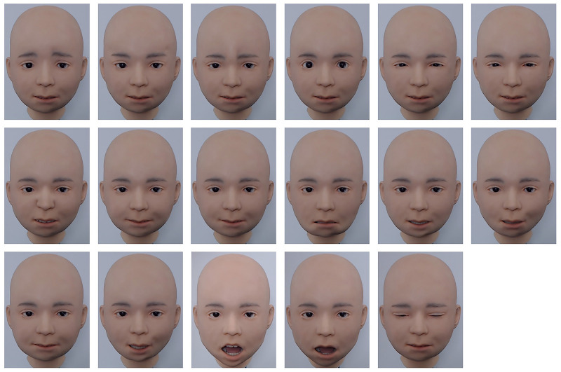 Image showing facial action units