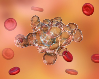 image of Entamoeba histolytica and red blood cells