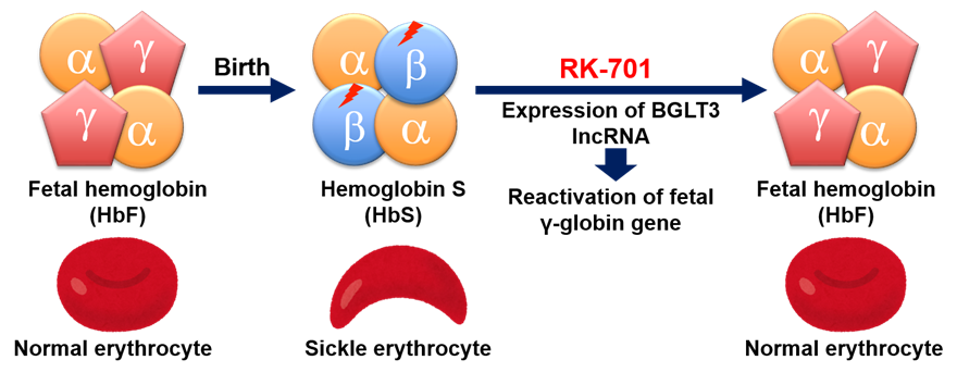 schematic showing the study