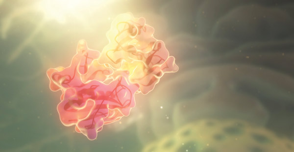 image of an enzyme and its substrate