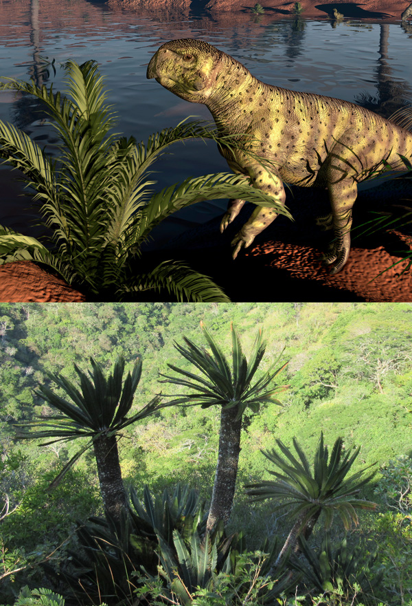 image of cycads and dinosaurs