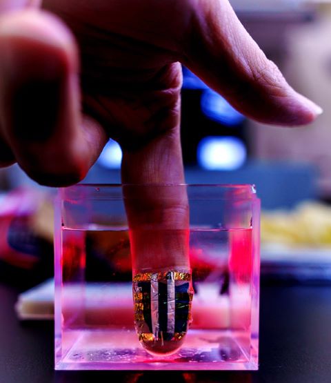 image of the organic light detector