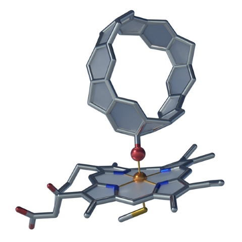 image of enzyme, an extra oxygen atom and nanocarbon belts