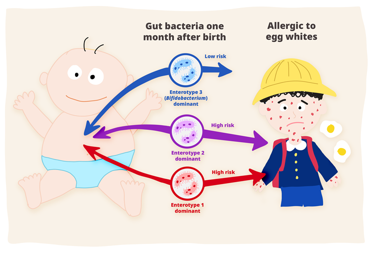 illusration of the study's new findings