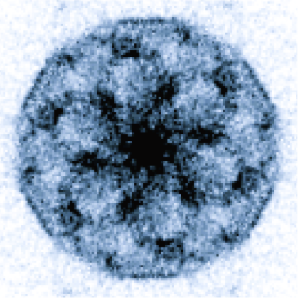 SI-STEM image of the twisted heterostructure